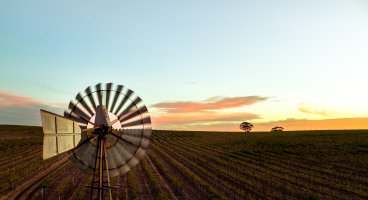 Elders Insurance urges farmers to prepare as claims data reveals summer storm risks